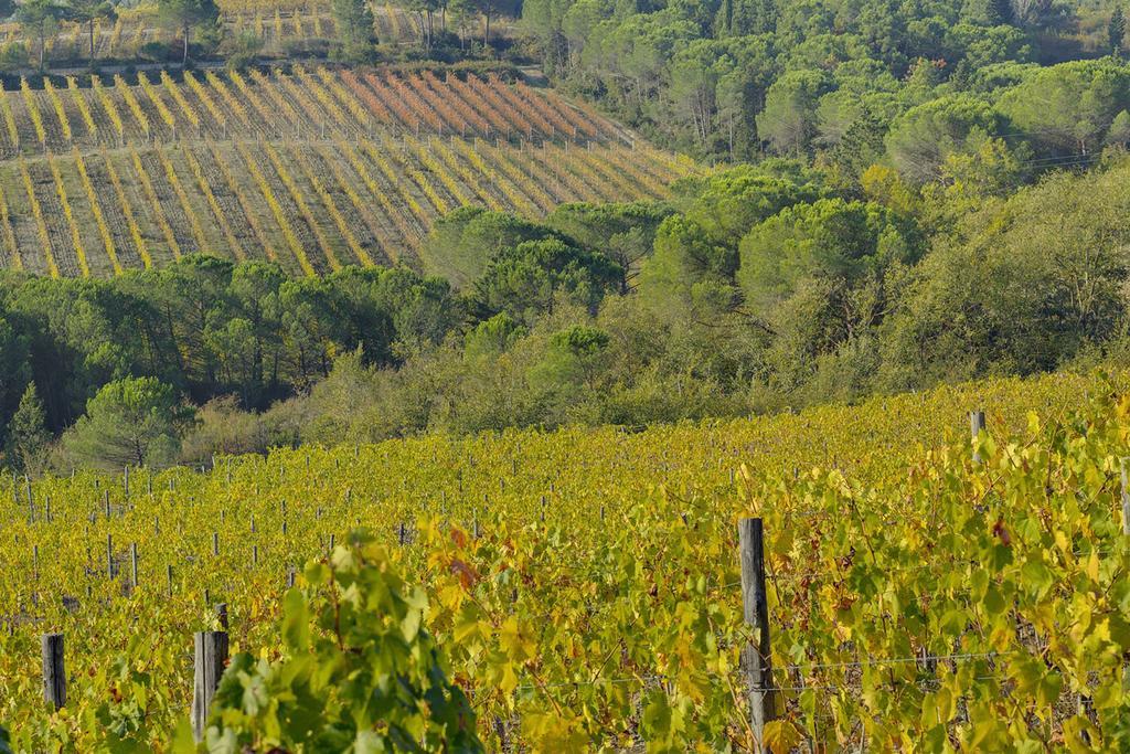 Agriturismo La Presura Strada in Chianti Exterior foto