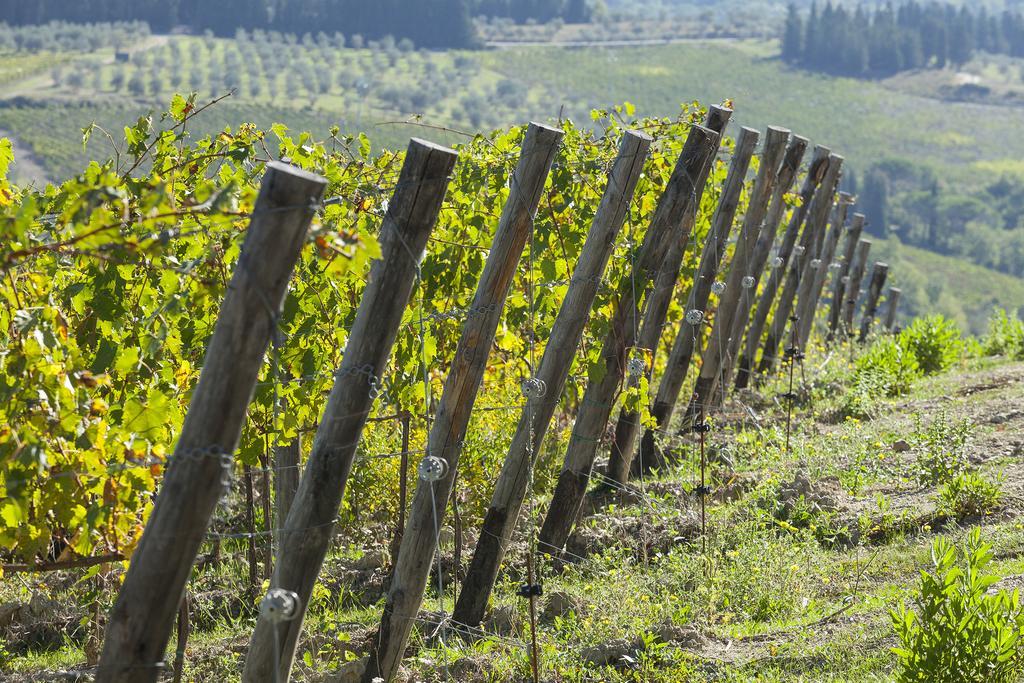 Agriturismo La Presura Strada in Chianti Exterior foto