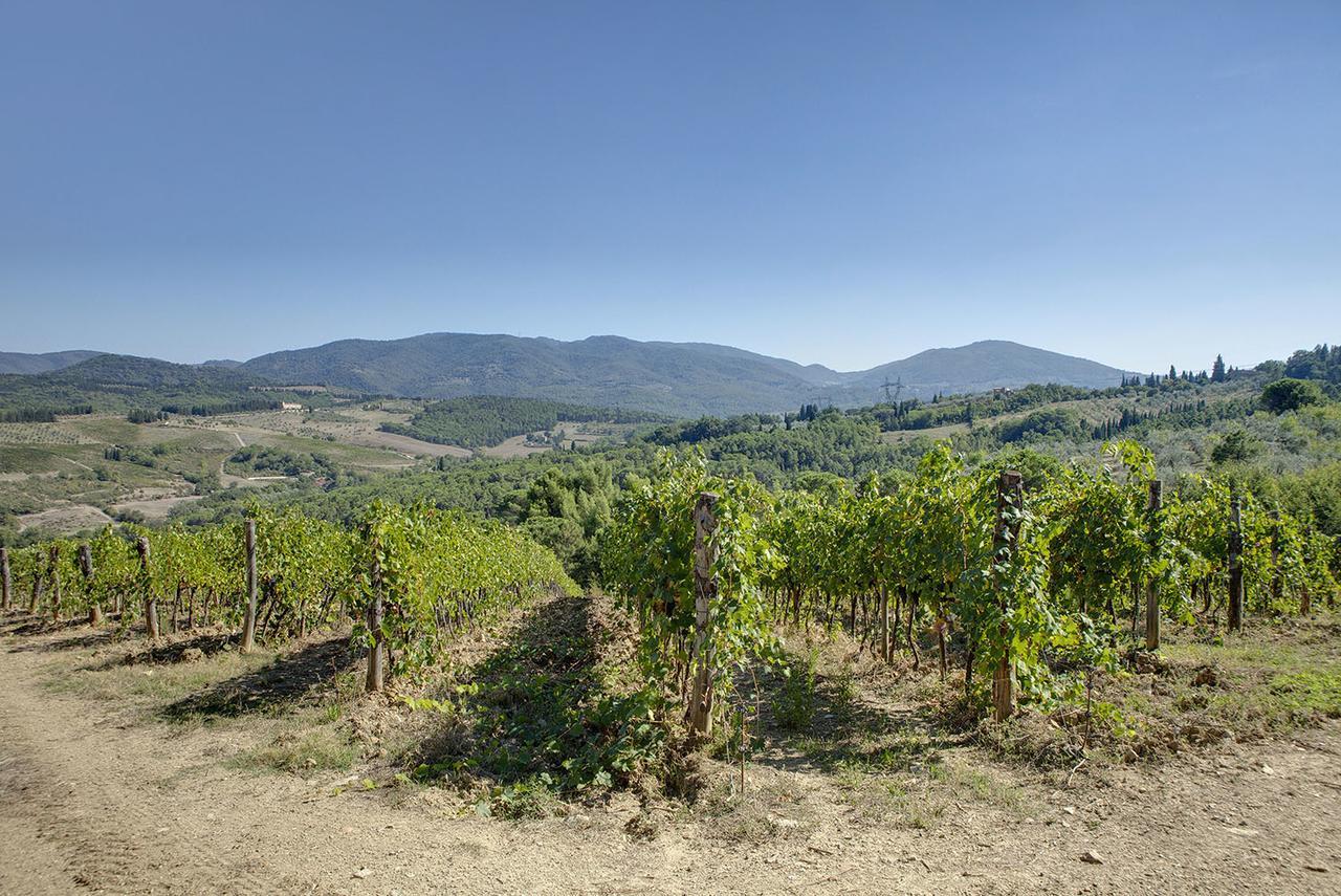 Agriturismo La Presura Strada in Chianti Exterior foto